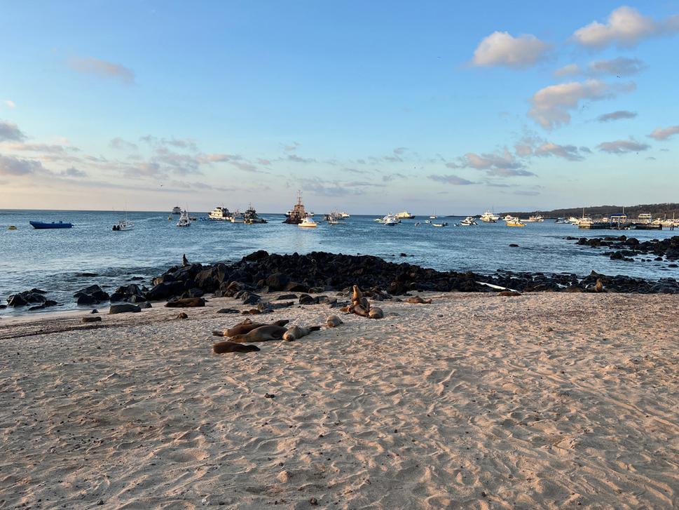 V prístave mesta Puerto Baquerizo Moreno.