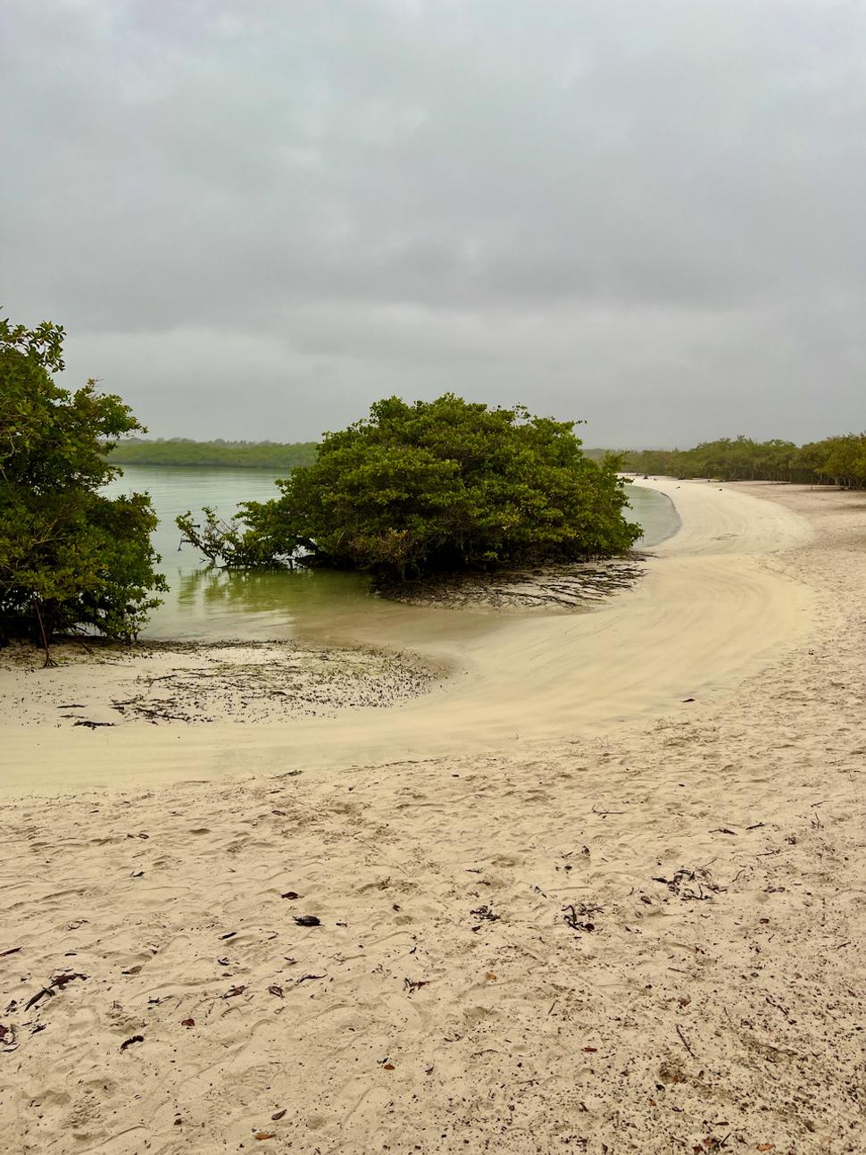 Tortuga Bay iba pre nás.