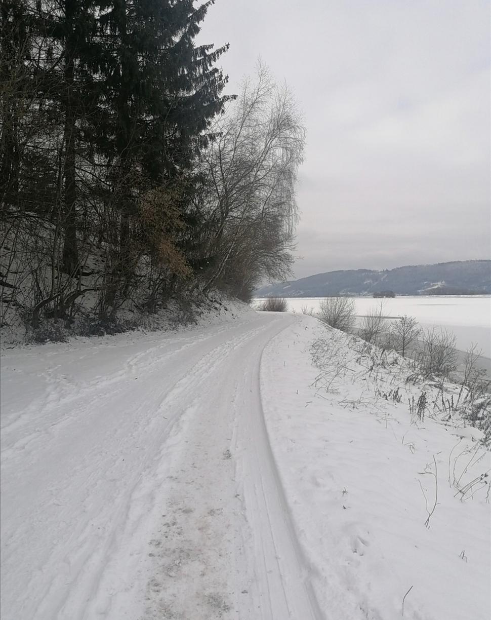 veď mě dál, cesto má...