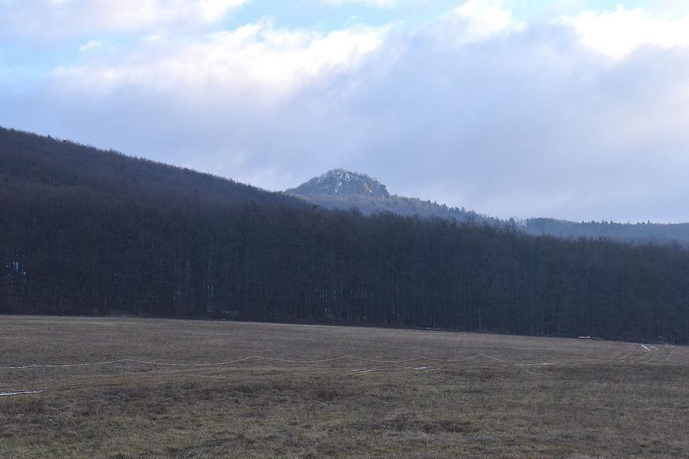 Žarnov