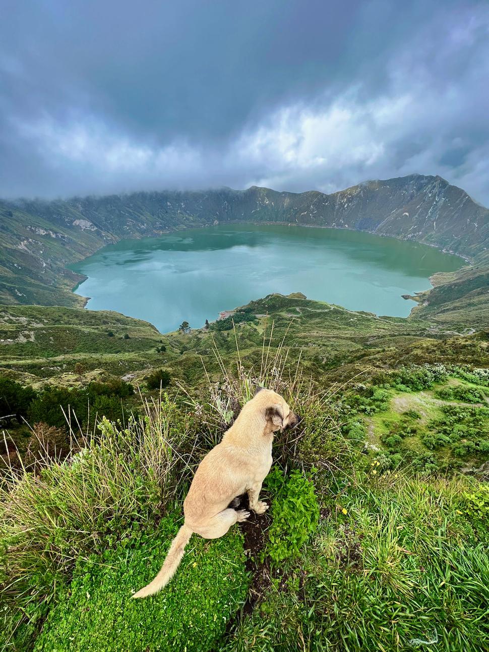 A o ďalších 15 minút prišiel tento psík a zapózoval mi tam, kde sa fotia všetci turisti.