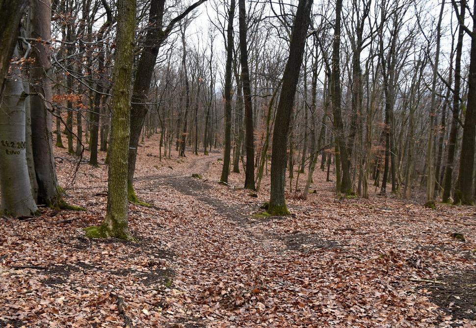 križovatka chodníka s vážnicou