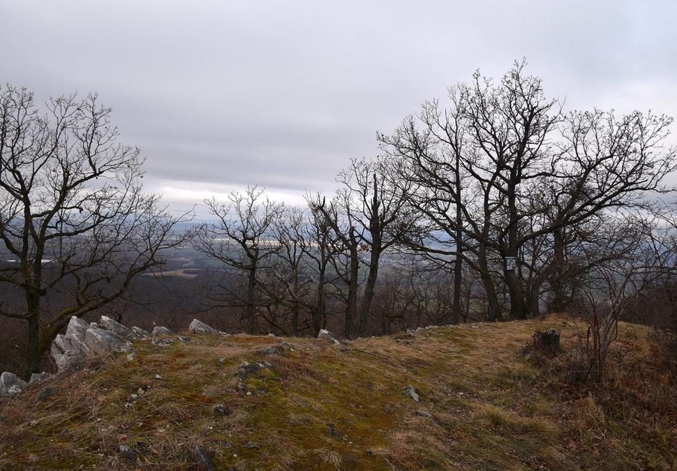 vrcholová kniha