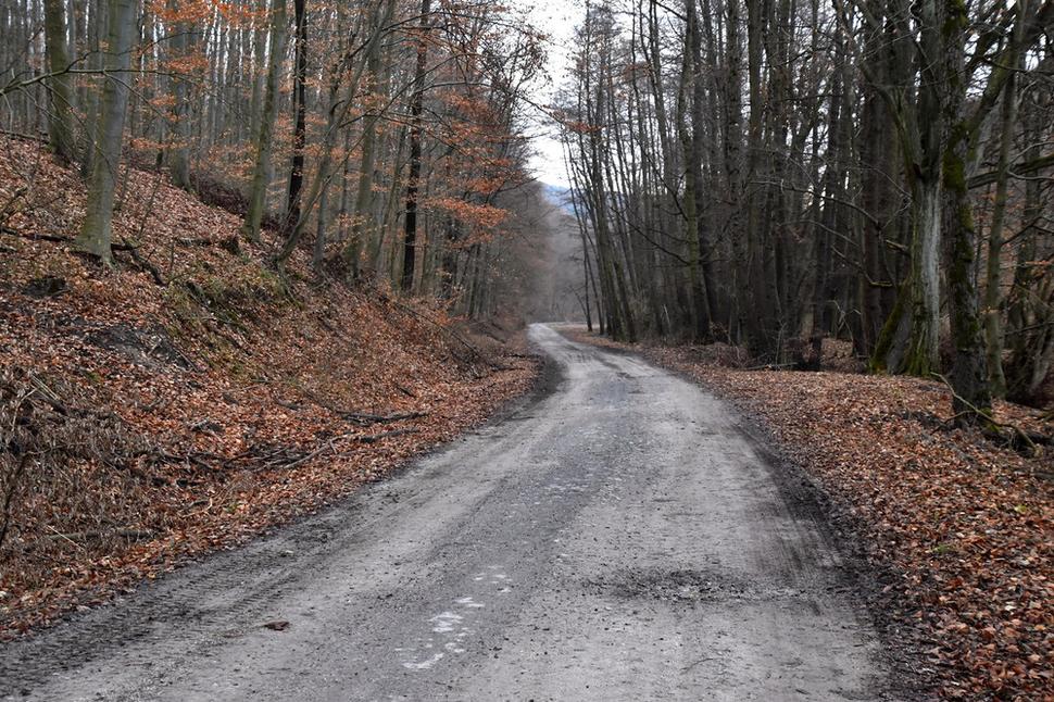 Drahožická dolina