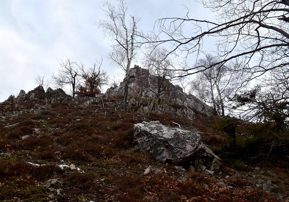 porast vresu