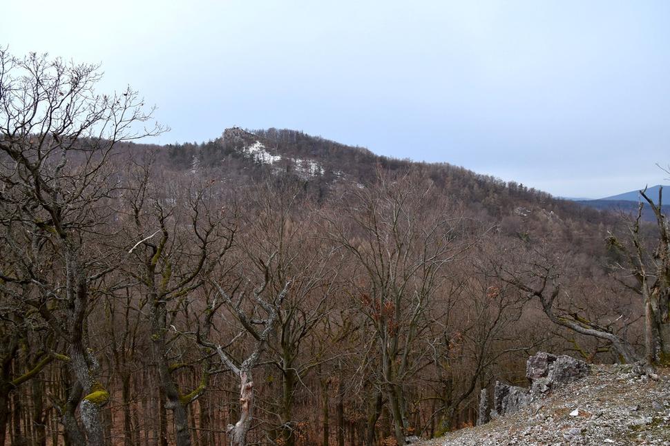 Oselný vrch