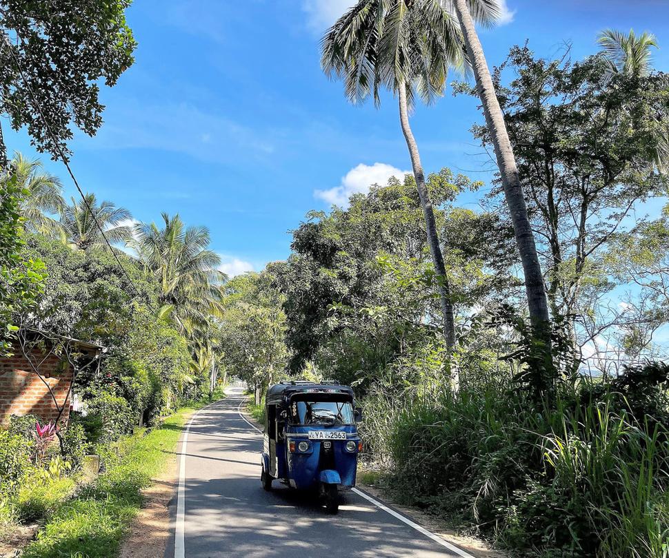 Jazda na motorke po úzkych vedľajších cestách vedie nekonečnou tropickou botanickou záhradou.