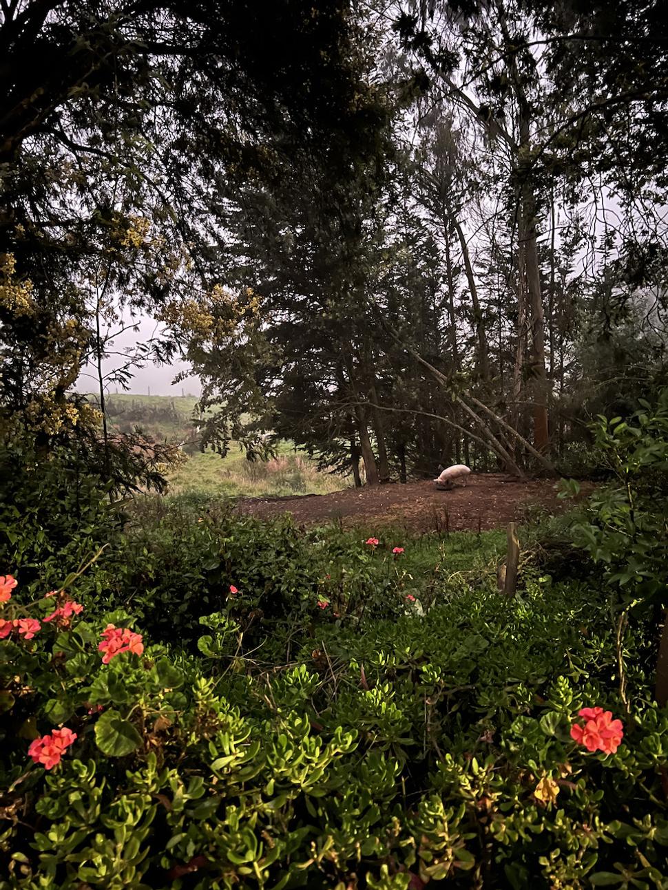 Posada Ingapirca.
