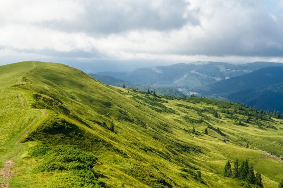 Po obsadení Podkarpatskej Rusi sa mnohým ľuďom podarilo ujsť na Slovensko cez lesy. Tí, ktorí zostali, dnes chodia na Slovensko robiť podradné práce za lacný peniaz.
