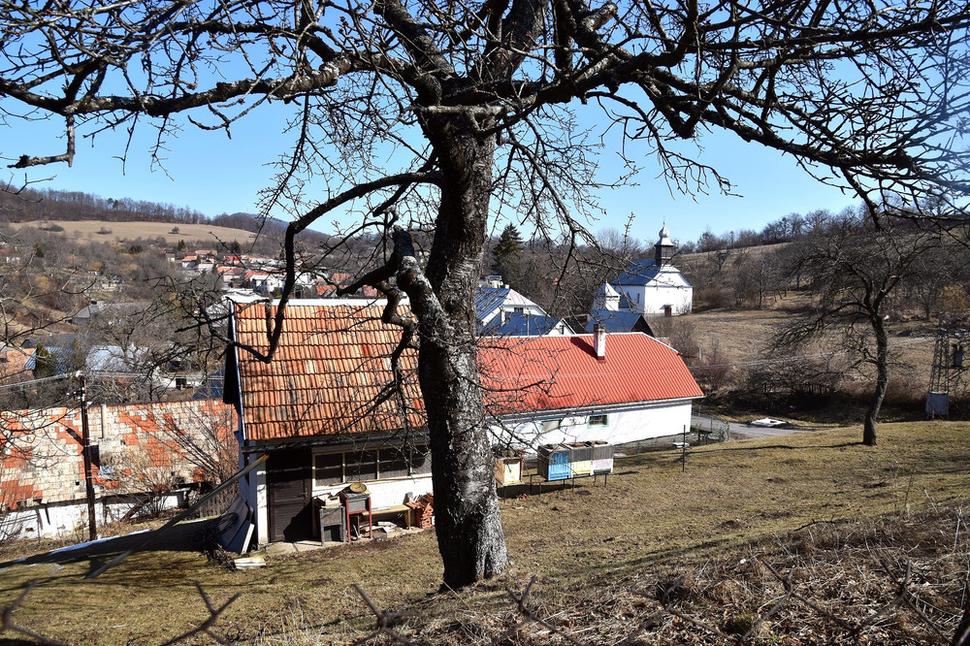 Obrázok blogu