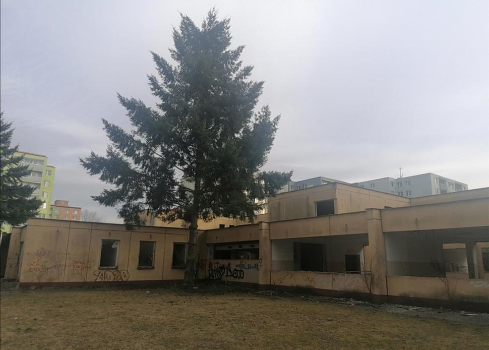 pohľad zozadu