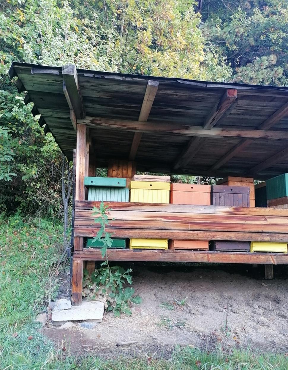 včielky sú súčasťou obydlia
