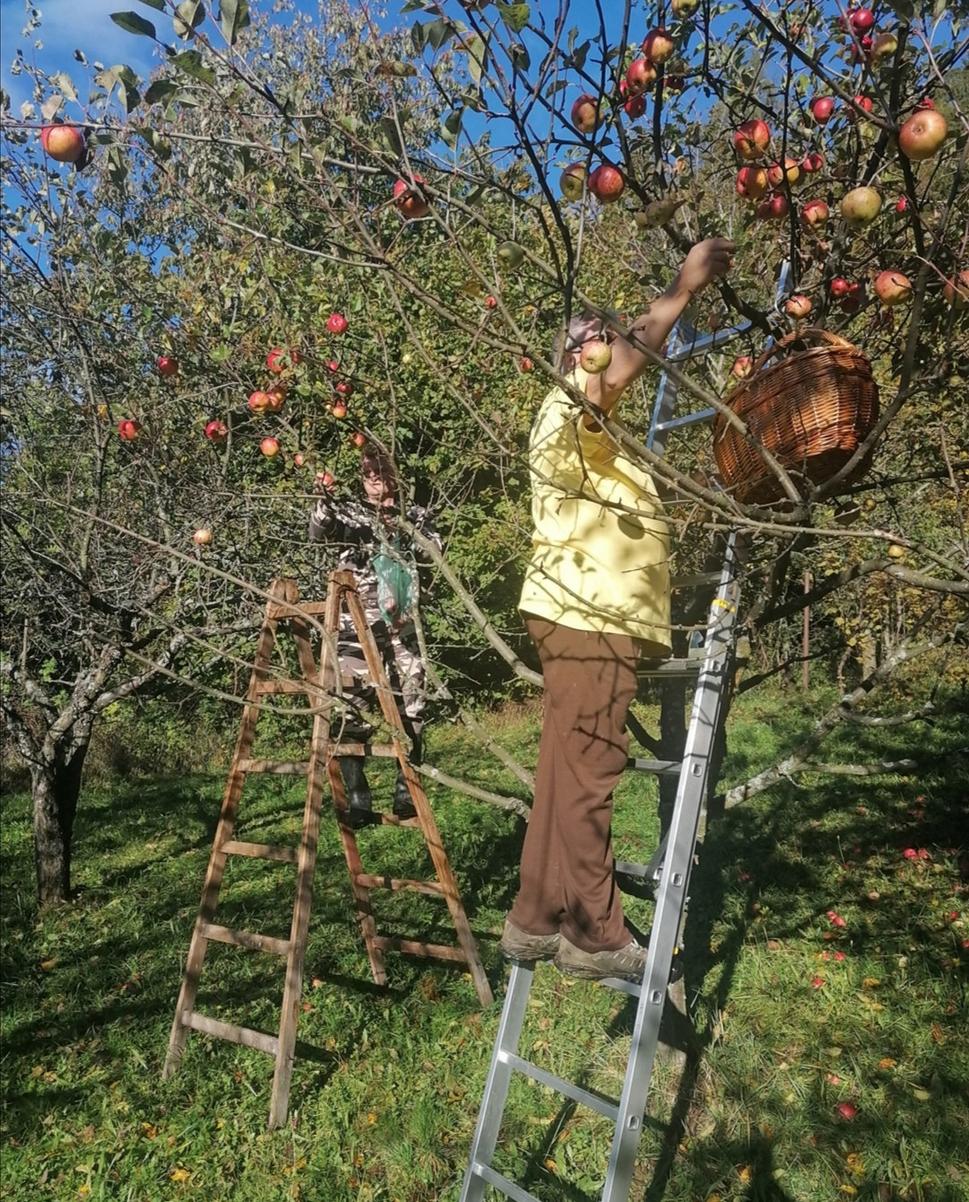 no a po guláši na vytrávenie trocha vitamnového adrenalínu :-)