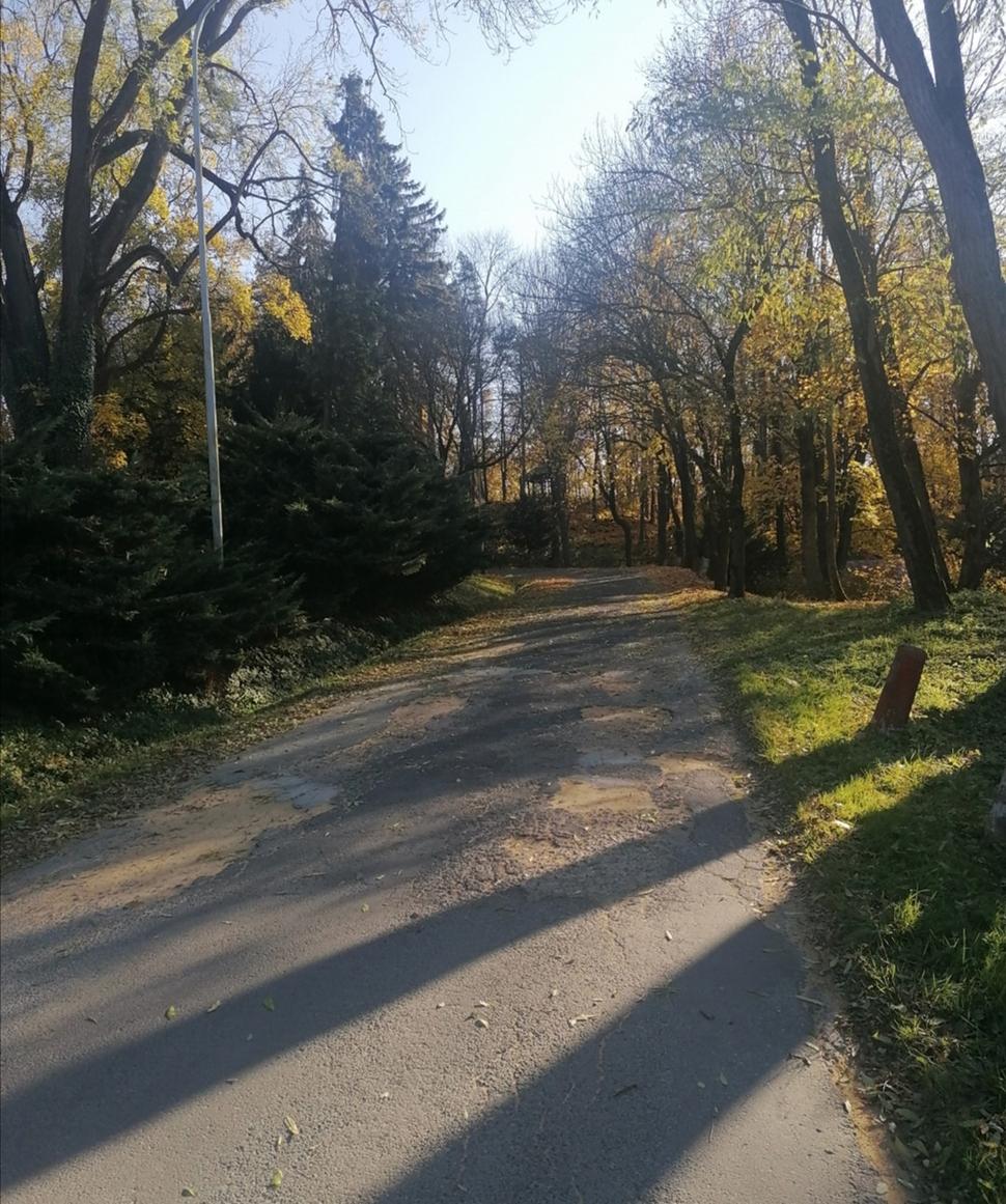Obrázok blogu