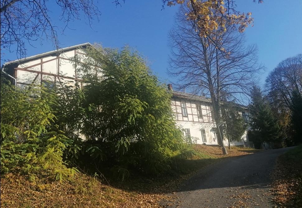 za zeleňou sa odhaľuje veľká budova