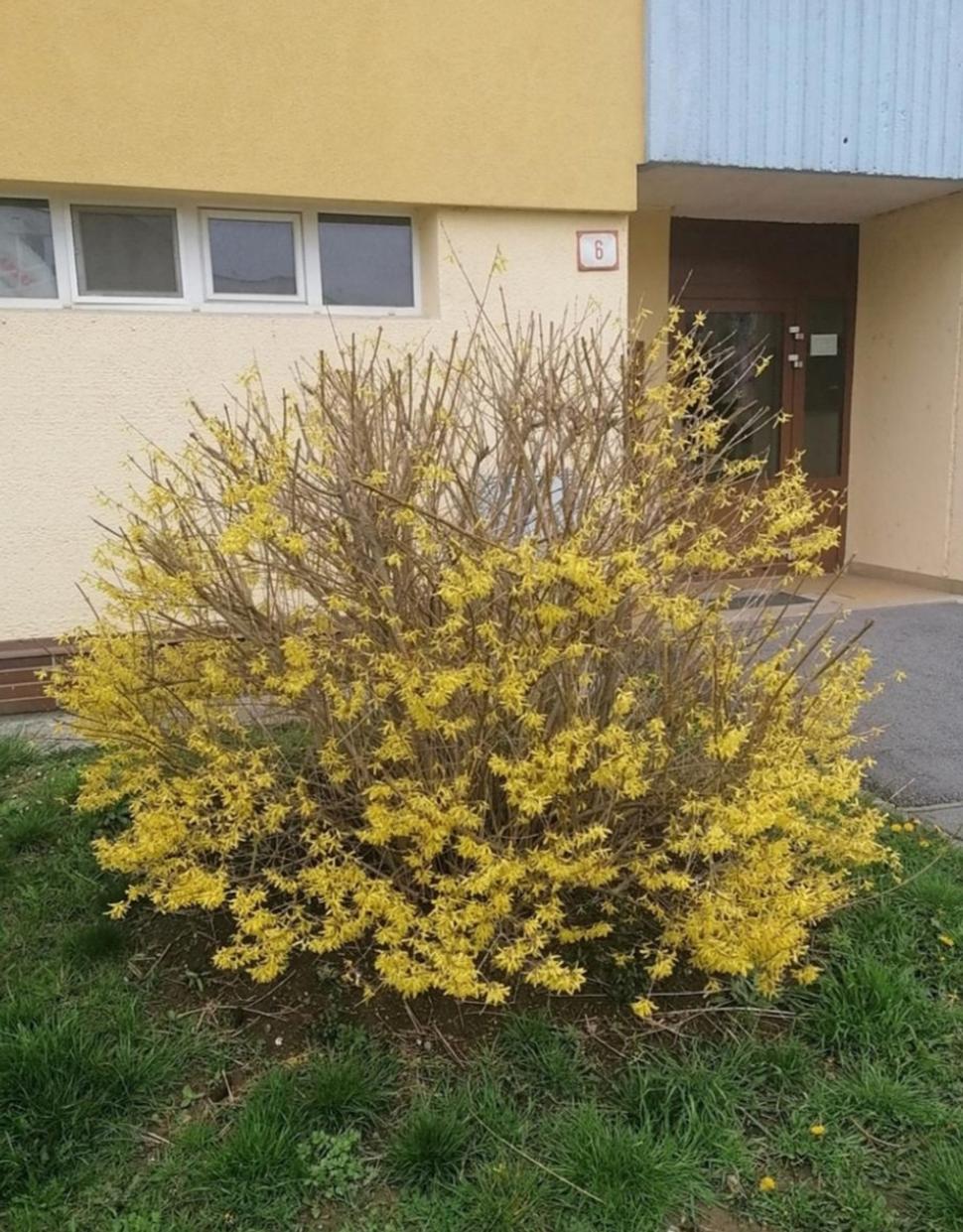 Obrázok blogu