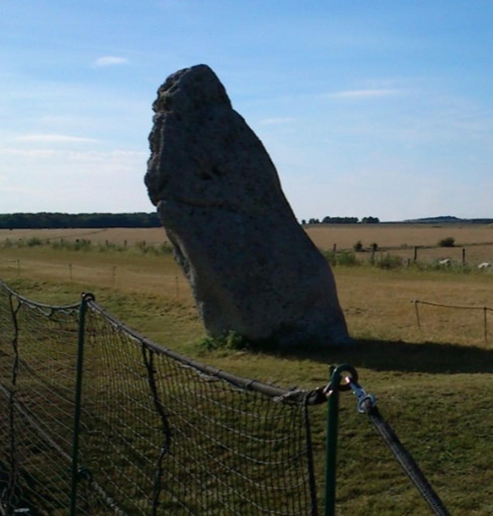 sú aj solitéri