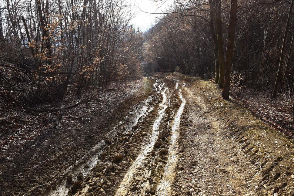 lesná cesta