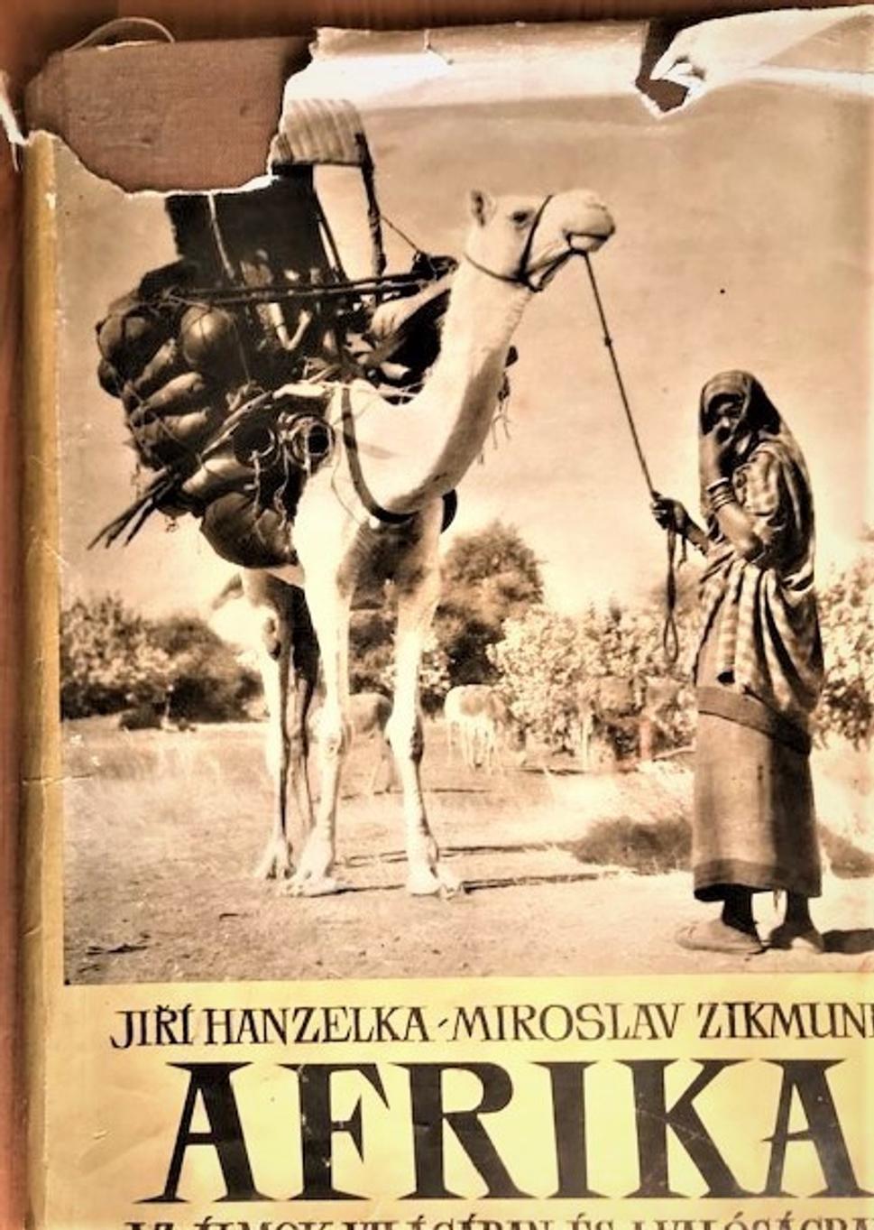 Obrázok blogu