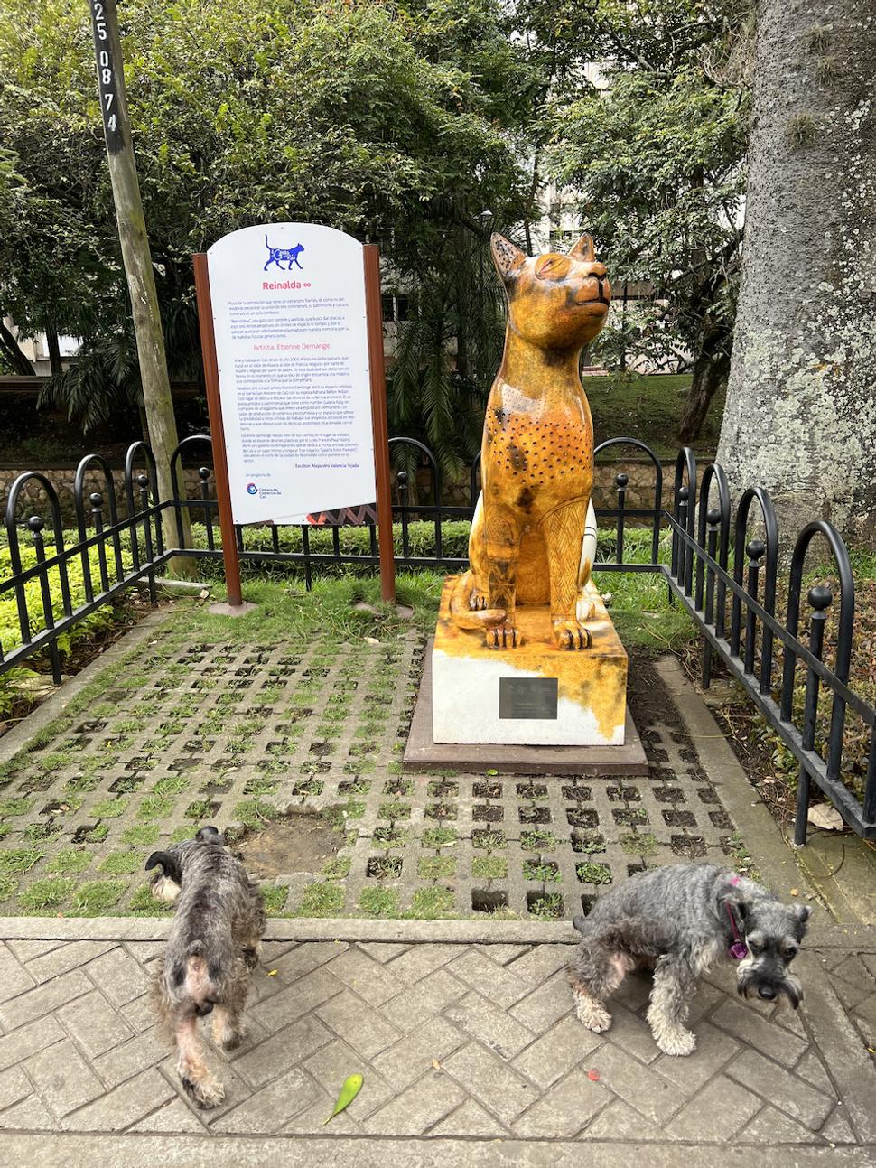 Čo sa tu motáte? Neviete, že tento park patrí nám mačkám? No ešte sa mi tu vyšpiň!