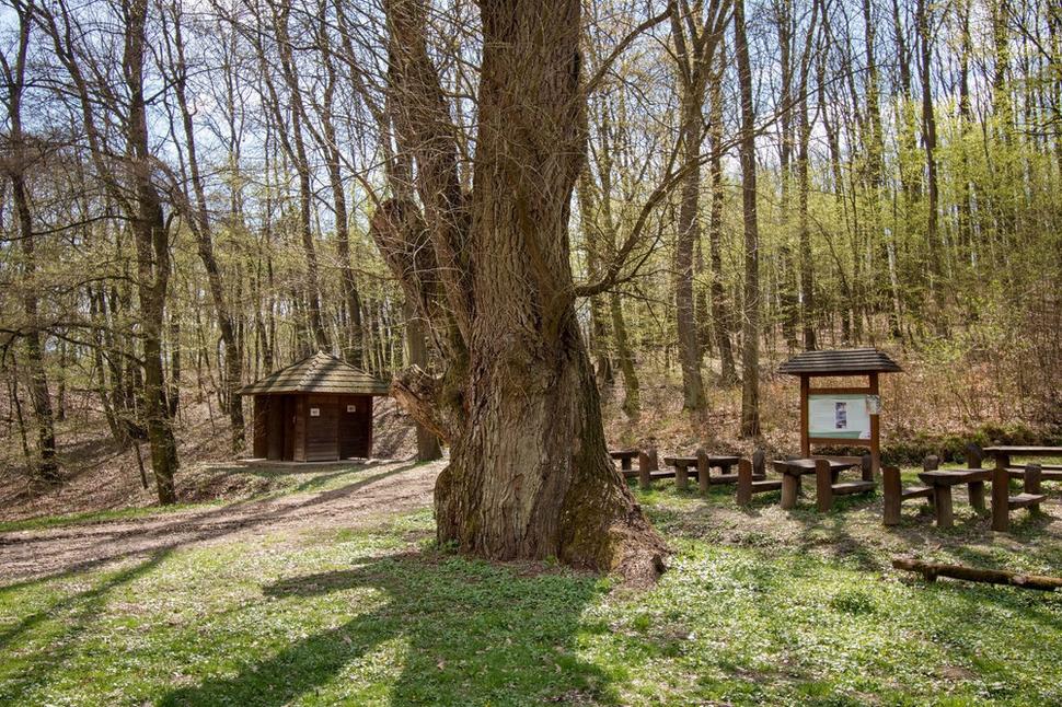 Stolíky a lavičky pri prameni Schaffer kút, rovnako ako okolie, prekvapia našinca nezvyklou čistotou.