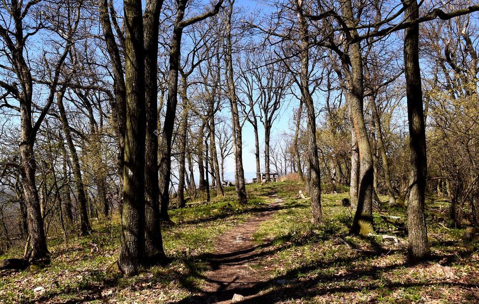 smer na vyhliadku na Osečnom vrchu