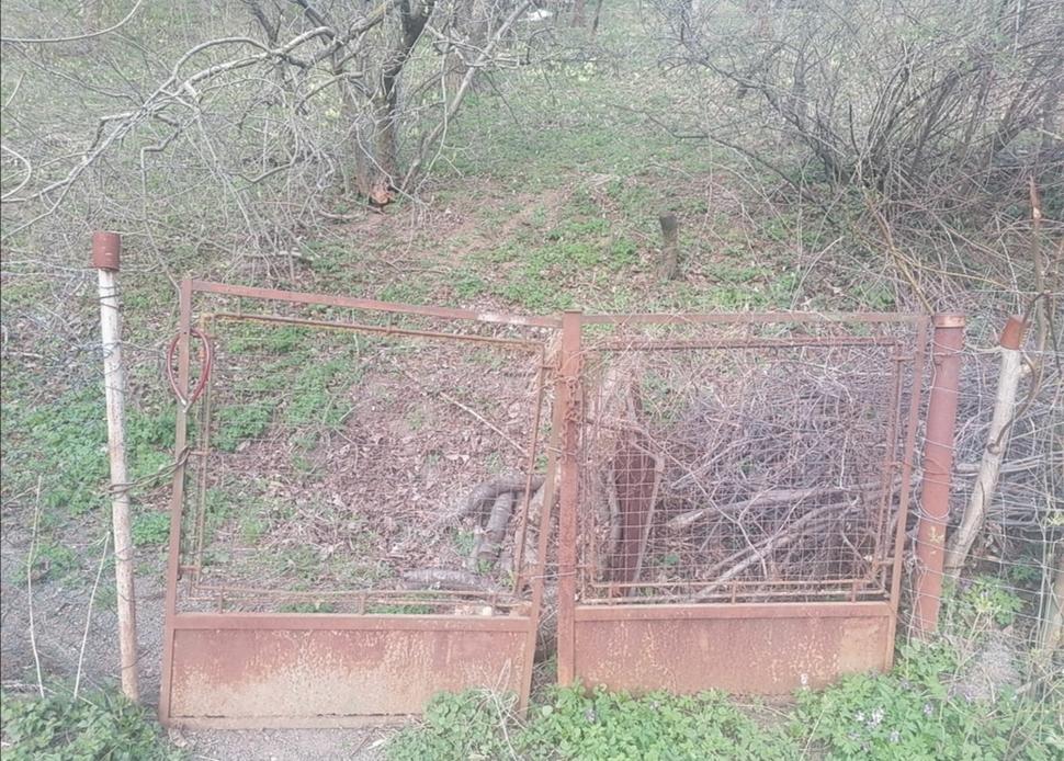 brána do púpavového sadu