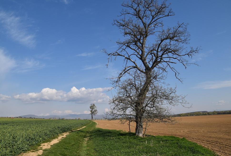 Obrázok blogu