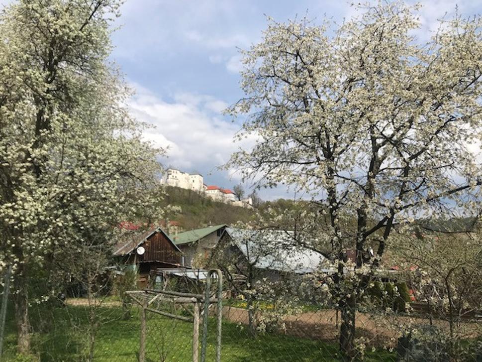 Obrázok blogu