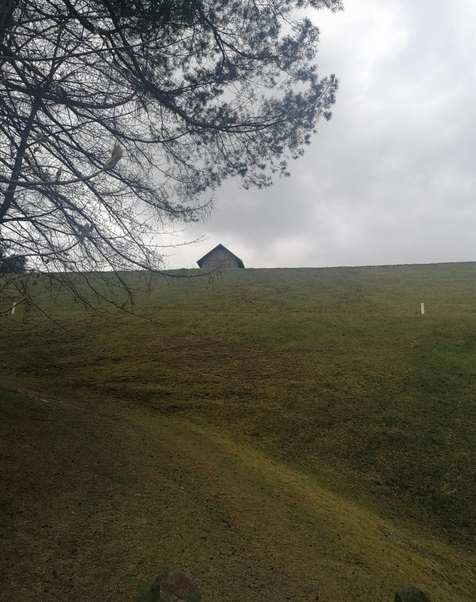 vykúkajúca búdka na hrádzi