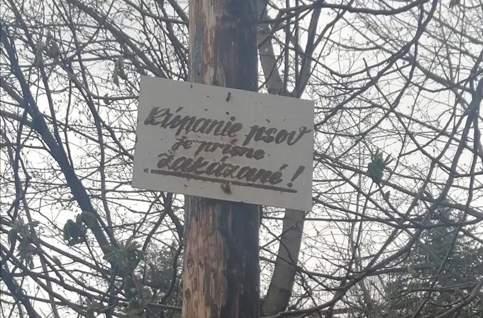 Bilbo má smolu :-)