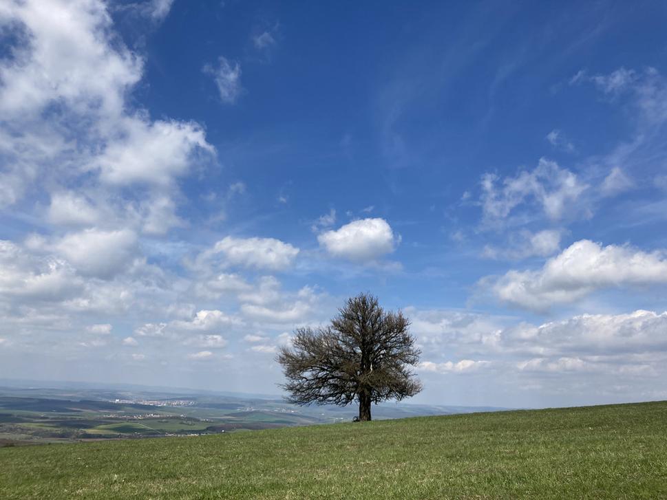 Na południe są vyčasilo, výhľad na Moravu