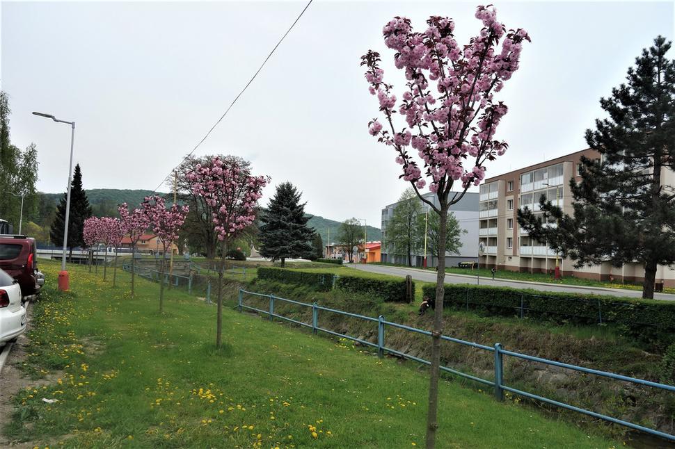 Obrázok blogu