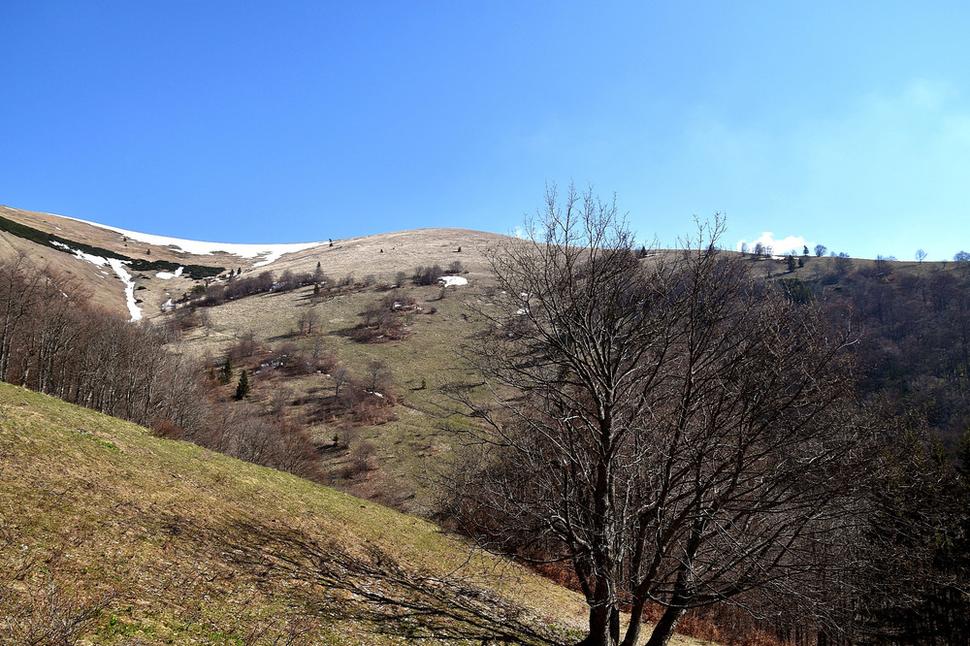 hôľnatý vrchol