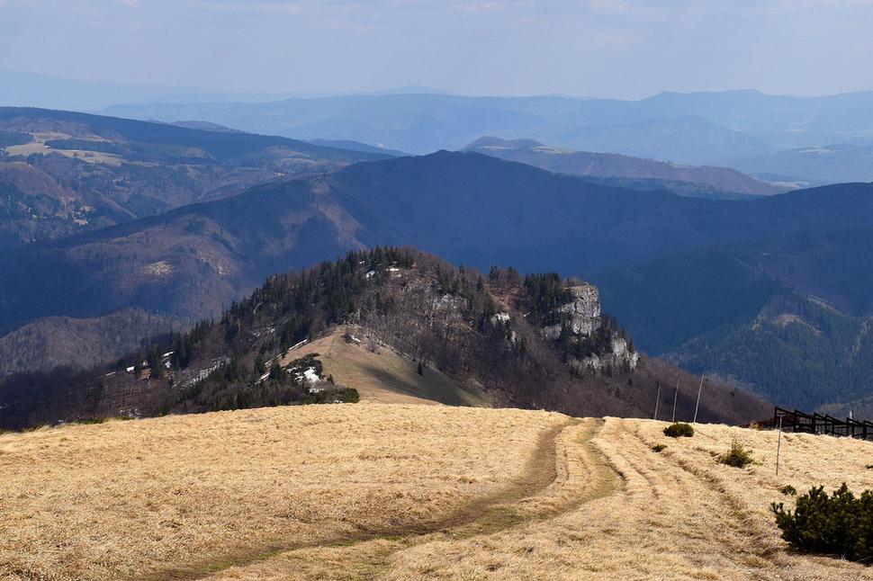 Majerova skala