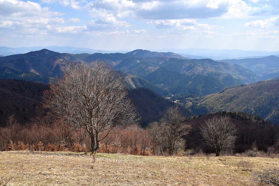 výhľady