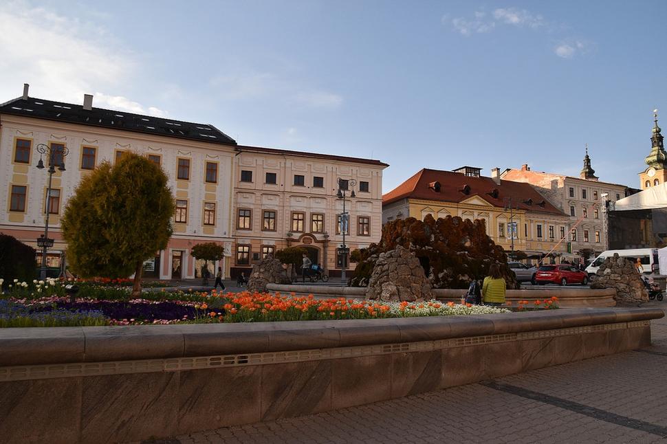 kvetinová výsadba