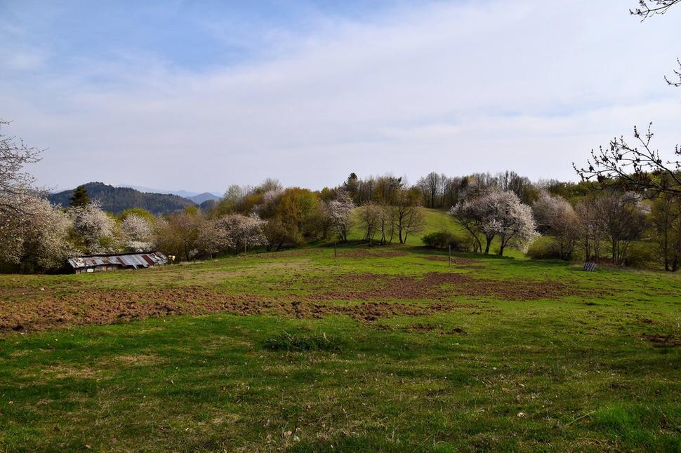 salaš