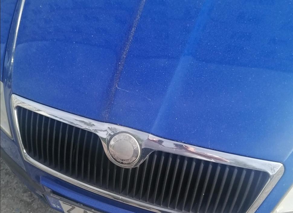 peľové mikropuntíky na kapote