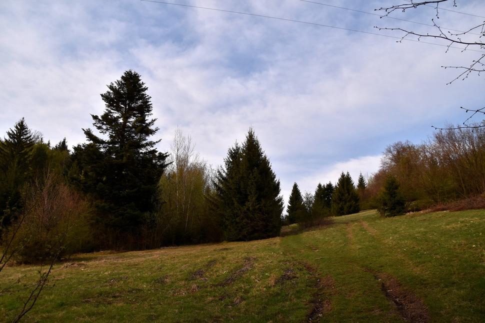 lúka nad chatou