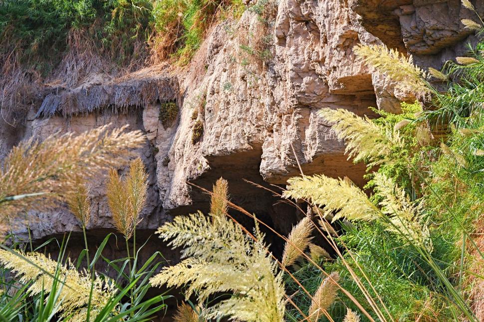 Kúzelná oáza Ein-Gedi má jedinečnú históriu, podľa židovskej tradície sa do jaskýň v Ein-Gedi ukryl budúci izraelský kráľ Dávid pred kráľom Saulom, ktorý ho chcel zabiť.