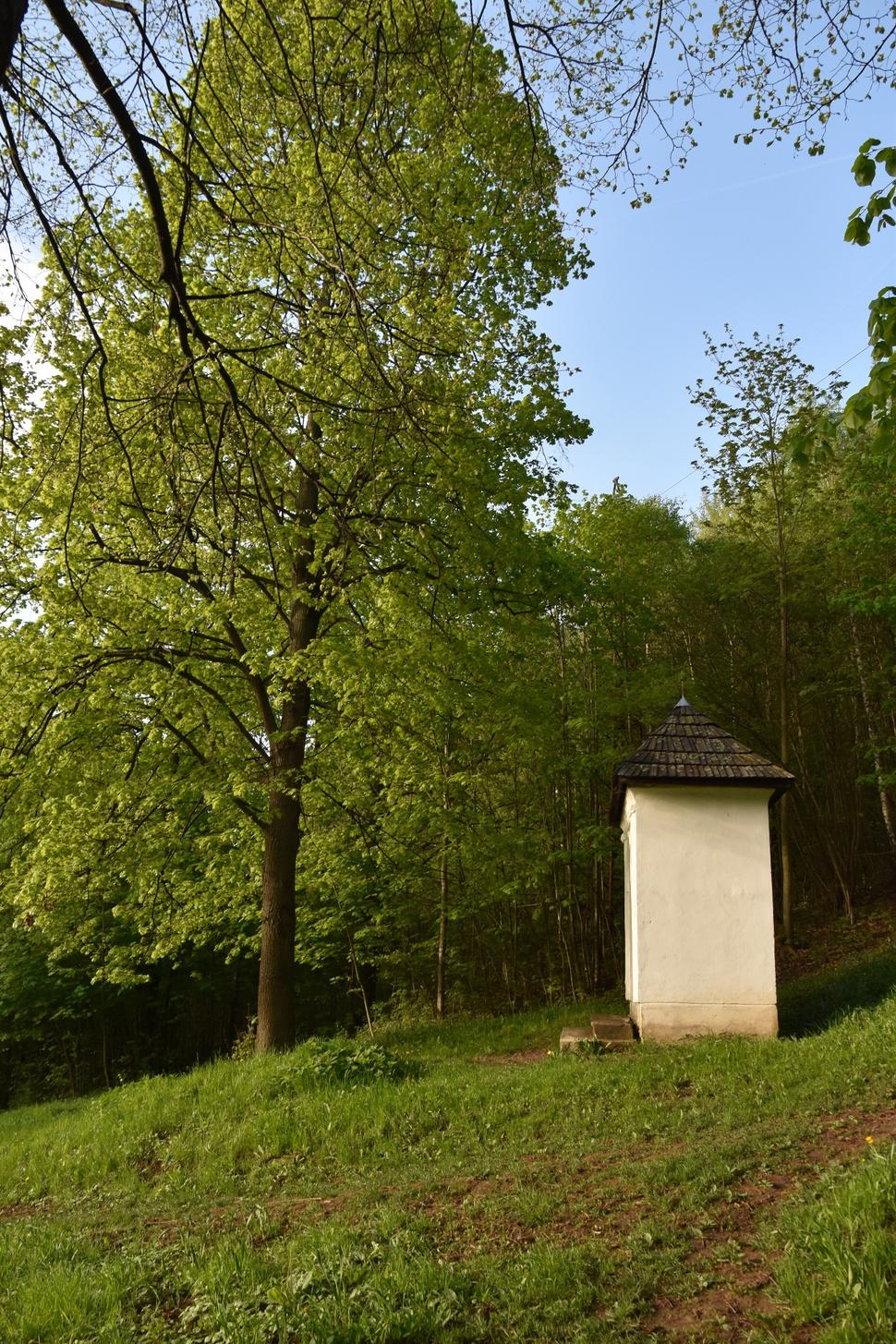 Obrázok blogu