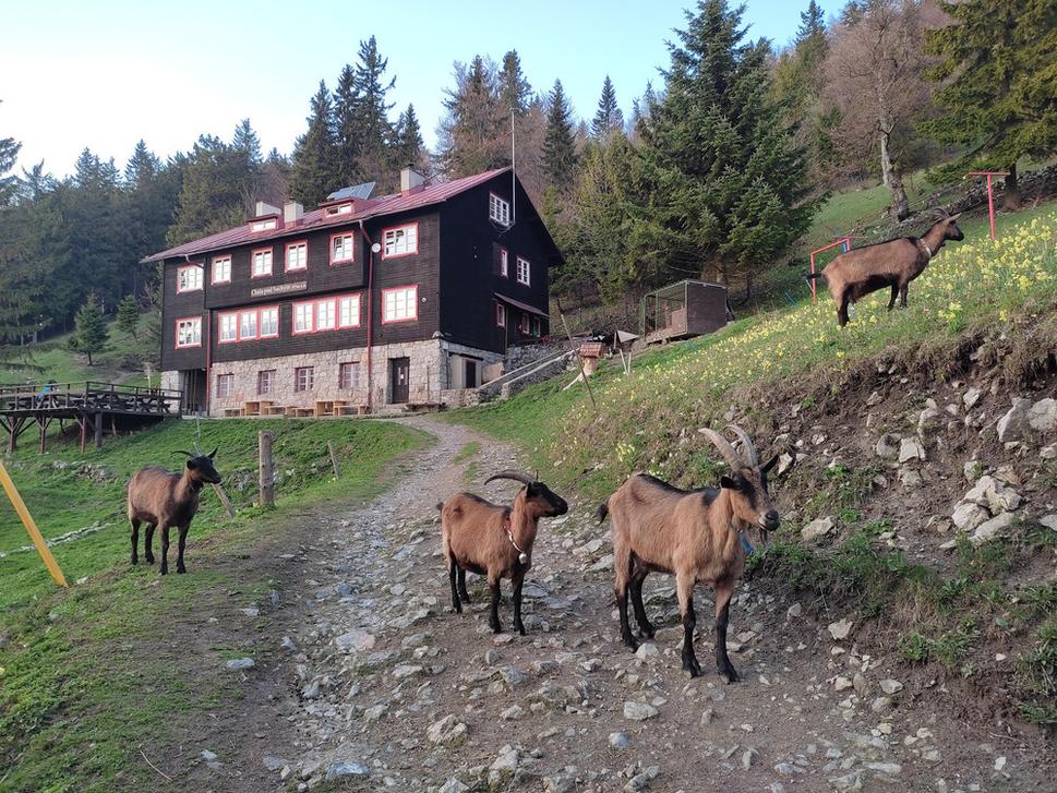 Zverinec na Chate pod Suchým