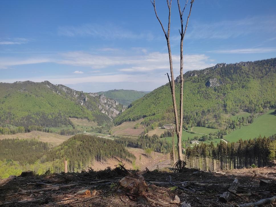 Zostup do Štefanovej s výhľadom