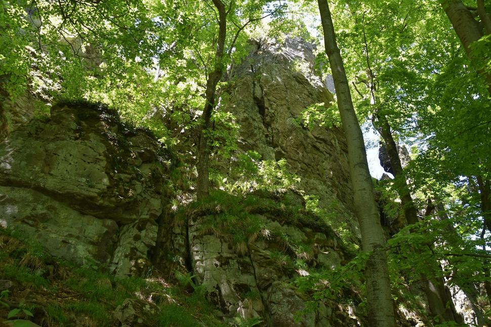 vrcholové bralá