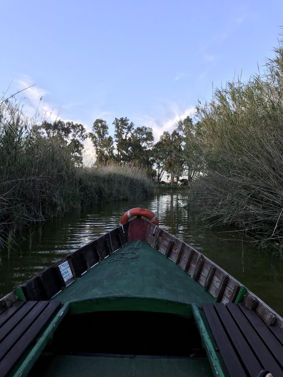 Prírodný park Albufera sa nachádza niekoľko kilometrov od Valencie.