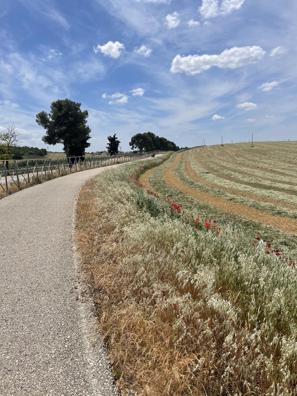 Polia cez Castilla-La Mancha.
