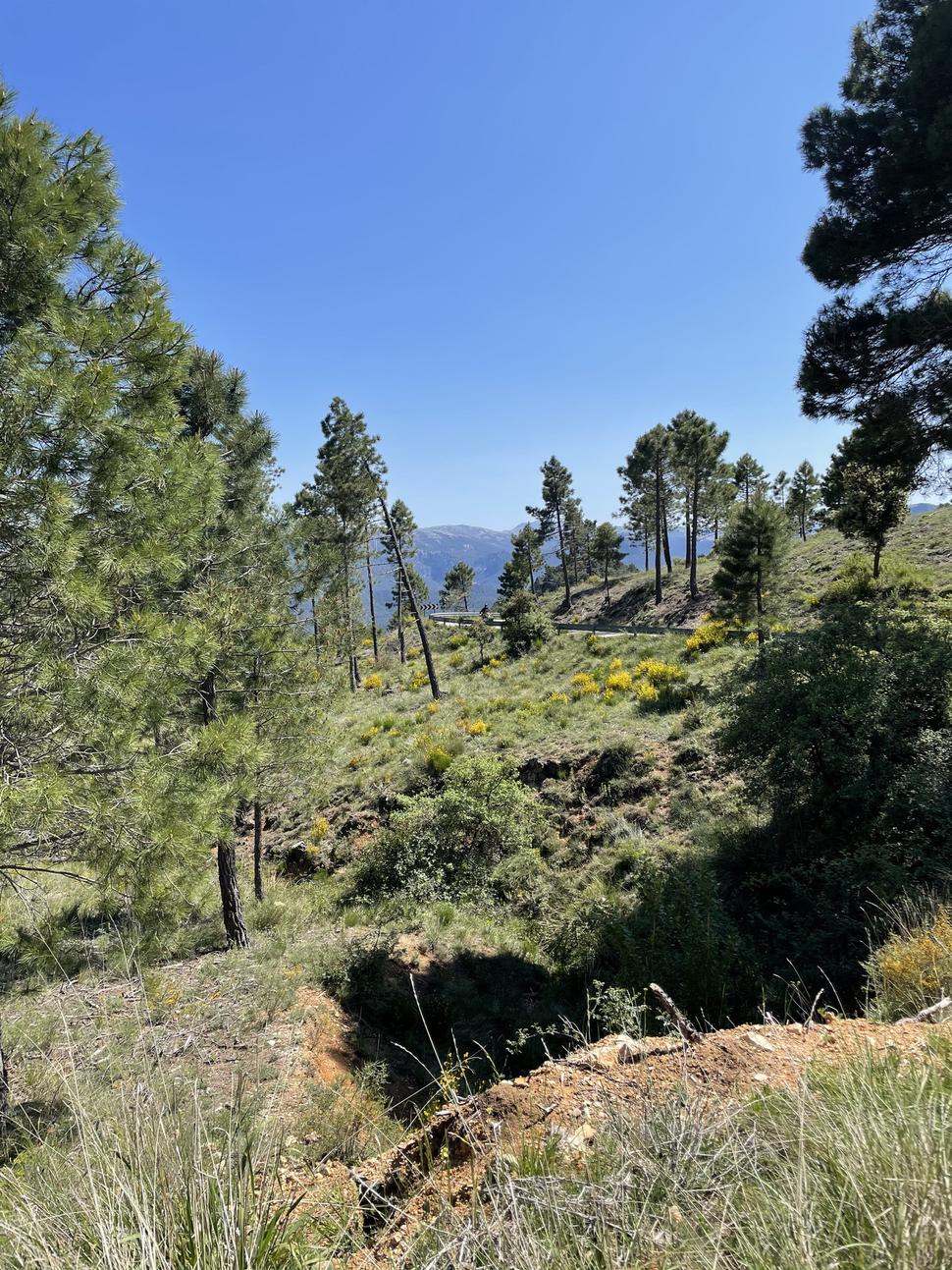 Zjazd po starej asflatke v Sierra de Segura.