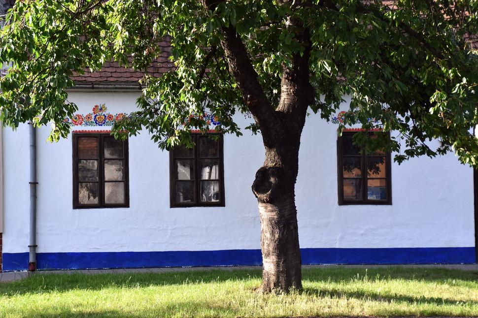 Obrázok blogu