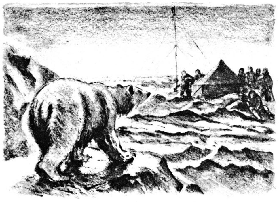 Návšteva ľadového medveďa v tábore stroskotancov ráno 29. mája 1928. Ilustroval Vclav Junek.
